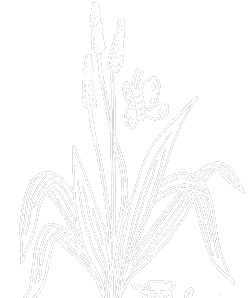 background pattern